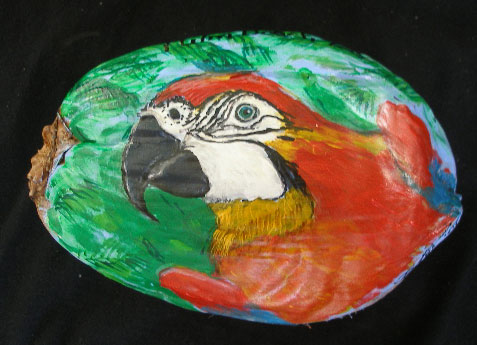 Red Parrot Painted Coconut