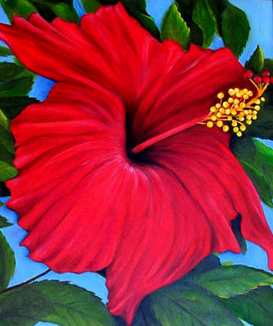 Red Hibiscus Oil Painting