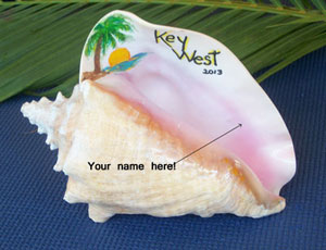 Key West Conch Shell