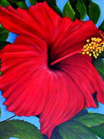 Flower Paintings Gallery
