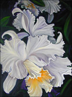 Orchid Paintings Gallery