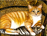 Pet Portrait of a Cat