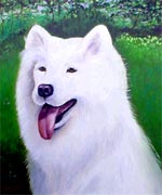 Nico Dog Portrait