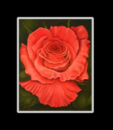 Coral Rose Matted Print