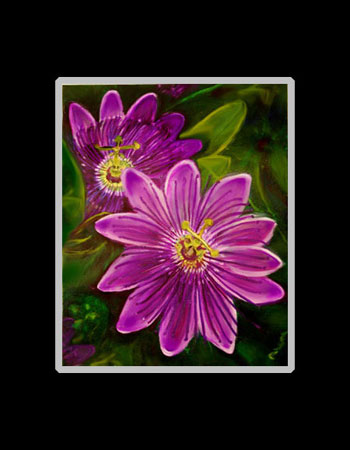Passion Flower Matted Print