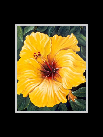 Yellow Hibiscus Matted Print