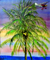 Key West Sunset- Palm Tree with Biplane