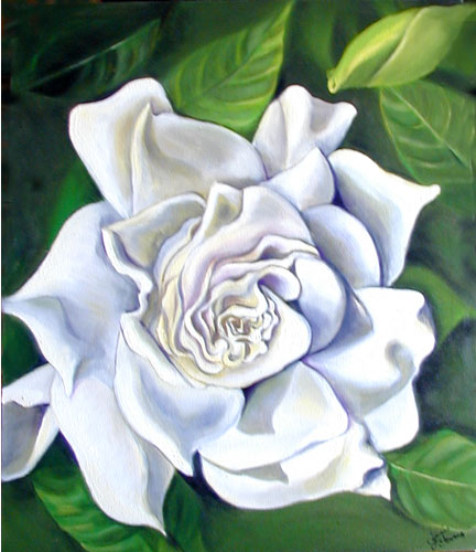 Gardenia Flower Painting