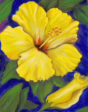 Yellow Hibiscus Bub