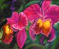Orchid Painting in Oil