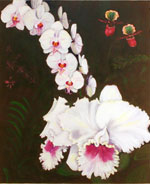 Key West Orchid Garden
