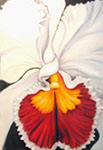 Orchid Painting in Oil- Cattleya