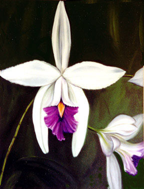 Orchid Painting