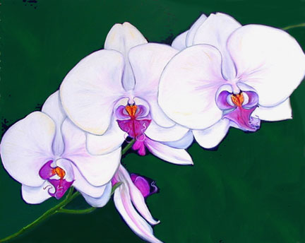 Orchid Painting