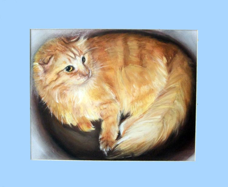 Garfinkle Pet Portrait