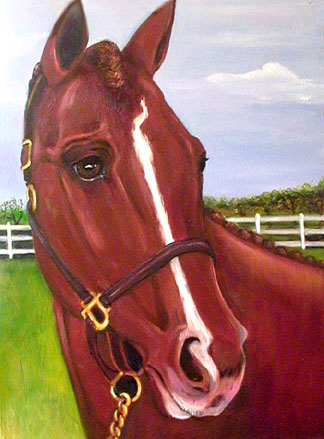 Horse Pet Portrait