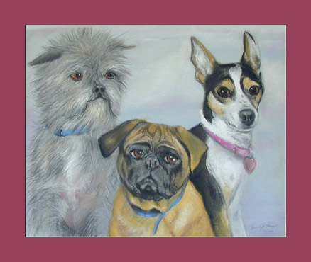 Three Dogs Pet Portrait