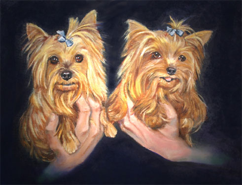 Yorkies Pet Portrait