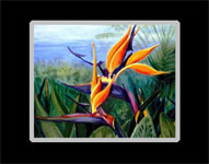 Bird of Paradise Flower Print