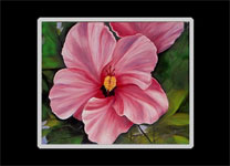 Pink Hibiscus Flower Print