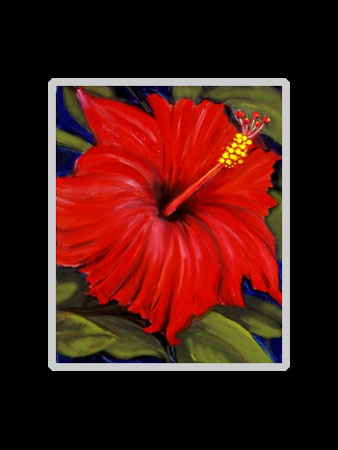 Red Hibiscus Matted Print