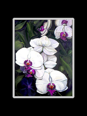 White Phalenopsis Orchid Matted Print
