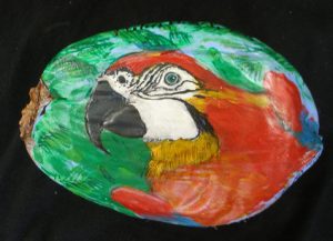 Painted Coconut