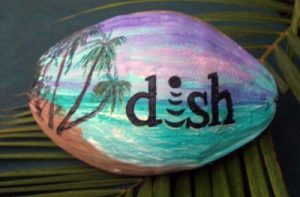 Custom Design Painted Coconut