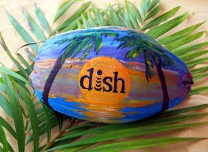 Custom Design Painted Coconut