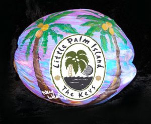 Custom Design Painted Coconut