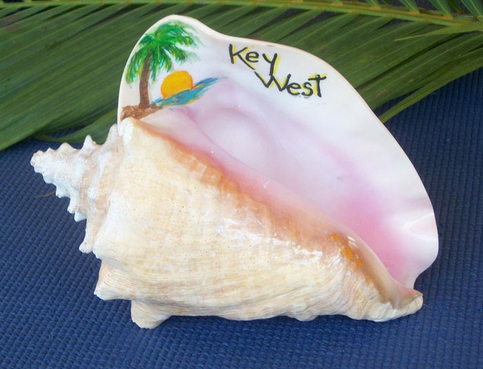 Painted Conch Shells – Art by Janis
