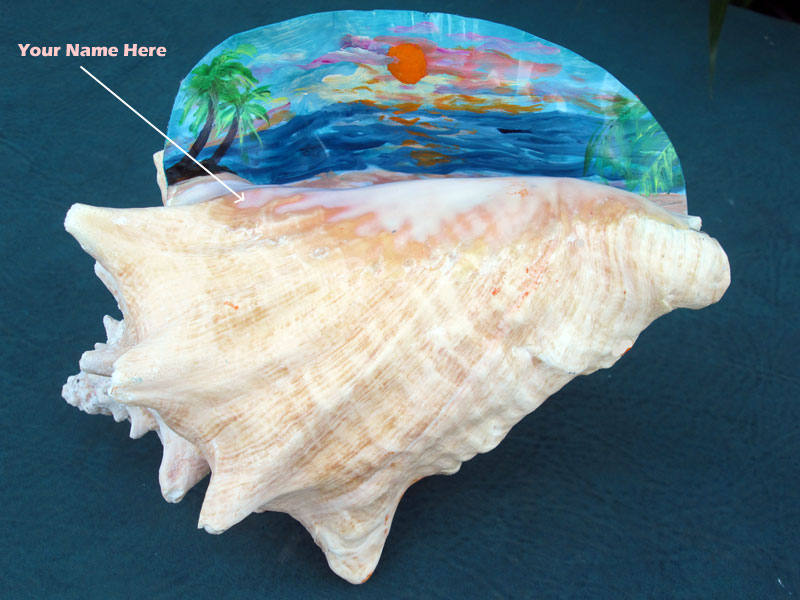 Painted Conch Shell